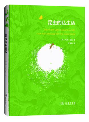 《昆虫的私生活》：鲜为人知的昆虫世界