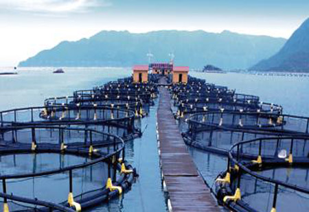 海洋产业步入数字化转型关键期