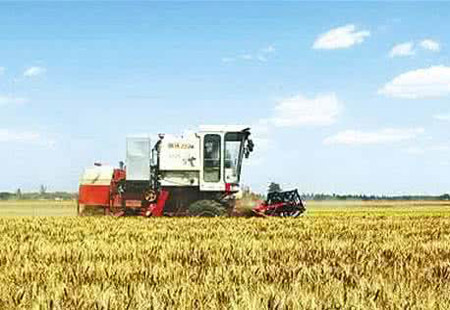 河南：从产粮大省迈向农业强省