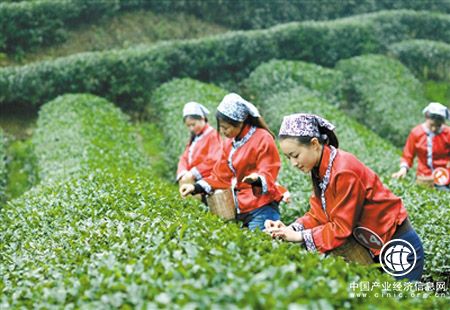 福建农业供给侧改革：向“绿色”要动能