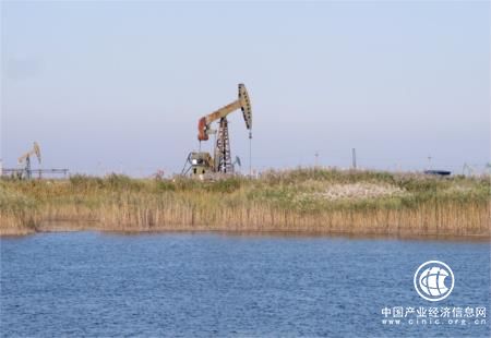 全域旅游助力山东东营旅游跨越发展