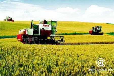 甘肃确立“十三五”时期质量兴农主要目标