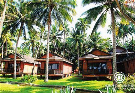 “特”“色”兼具 文旅和康养小镇成亮眼风景