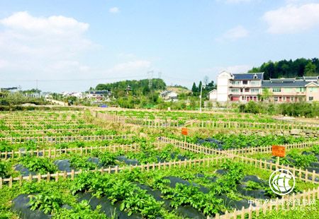 贵安新区：把知行合一，绿色发展践行到底