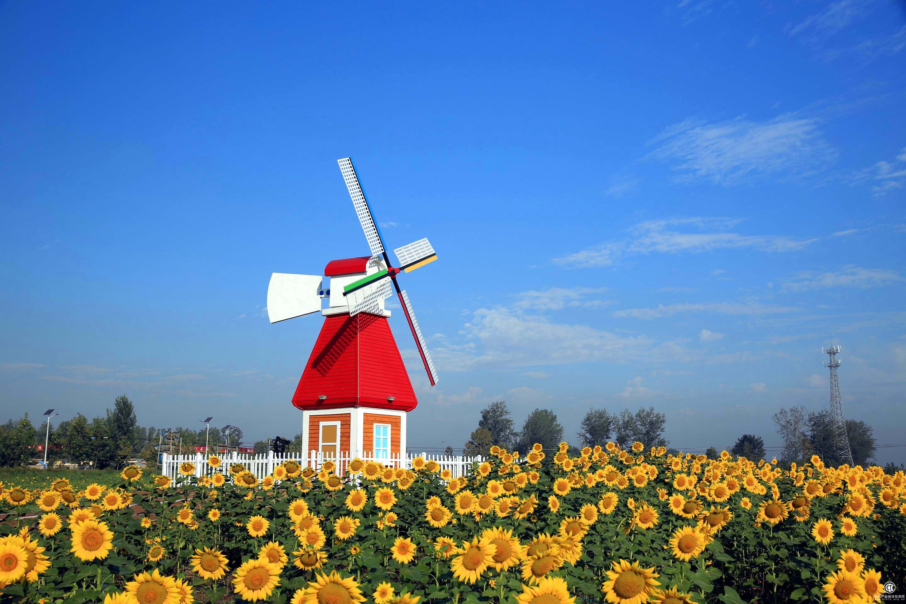 今年吉林省计划建设150处“口袋公园”“小微绿地”