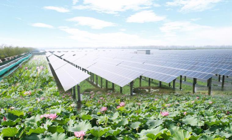 江苏金湖：“渔光互补”成湿地生态旅游新景观