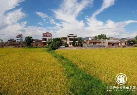 广东推动乡村旅游提档升级 为全域旅游添彩