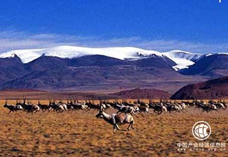 可可西里、阿尔金山和羌塘三大保护区严禁非法穿越