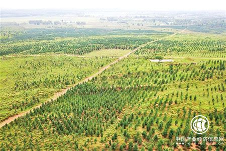 中国北方生态安全屏障日渐成型