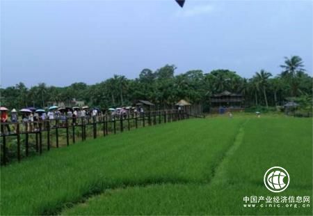 海南发展共享农庄打造促农增收新业态