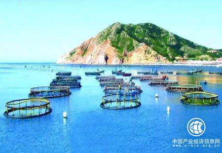 山东筹集资金近百亿 打造海洋经济发展高地
