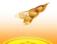 专注造“芯” 撒“豆”成金让龙江“冠”系列遍布全国