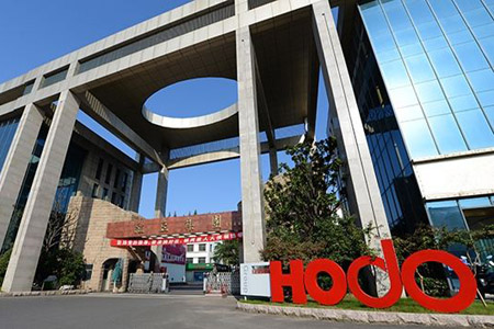 红豆矢志不渝弘扬中华文化