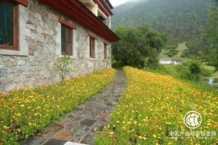 云南特色民宿客栈进入洗牌期 半年减少2910家