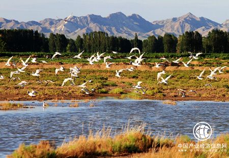 上半年内蒙古巴彦淖尔市实现旅游综合收入27.3亿元