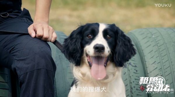 关注普通劳动者、感受社会正能量 优酷《极限劳动者》纪录片获官媒点赞
