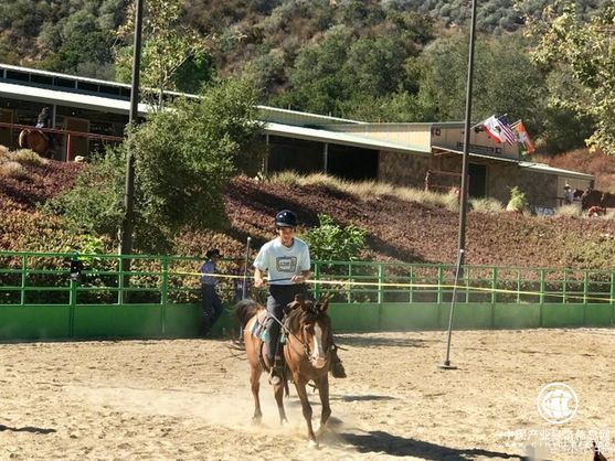 林依轮送二儿子上学 一家四口温馨合影颜值超高