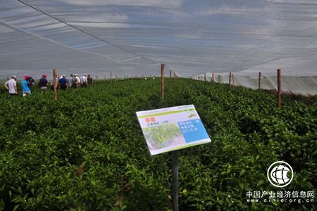 内蒙古富硒耕地开发示范基地建设成效显现