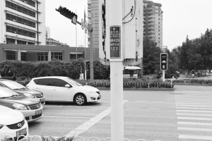 河北首家数字化交通管理系统上线 手机扫码提意见