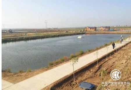 甘肃景泰盐碱地发展渔农业 变废为宝修复生态