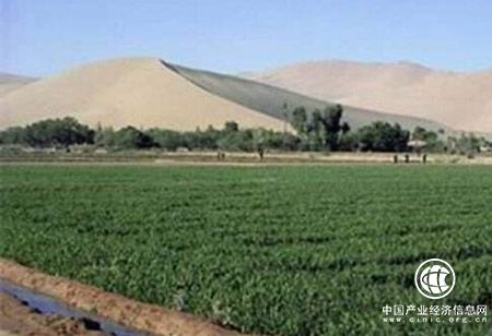 甘肃打造特色生态经济开发利用“产业链”