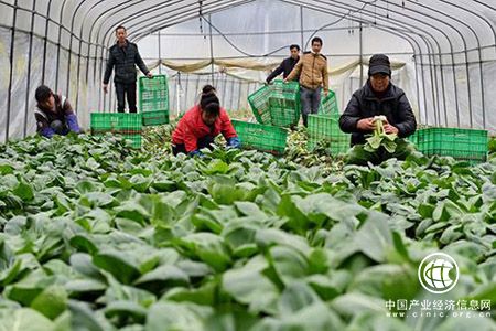 全国农民专业合作社达193万多家 46.8％的农户入社