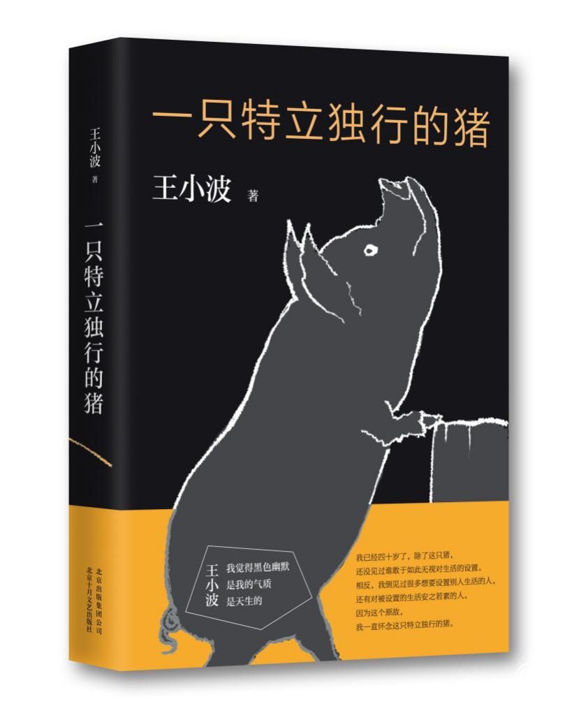 王小波：张爱玲的小说有种不同凡响之处