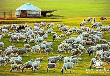 多元融资为内蒙古经济注入新活力