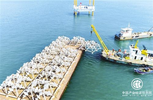 我国已建成国家级海洋牧场示范区42个