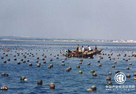 山东发布海洋主体功能区规划 划定29个功能区