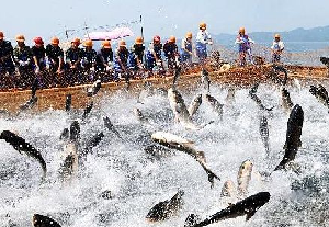 加快转型升级 广东部署推进渔业供给侧结构性改革