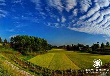 重庆江津区富硒绿色产业上半年产值达29亿元