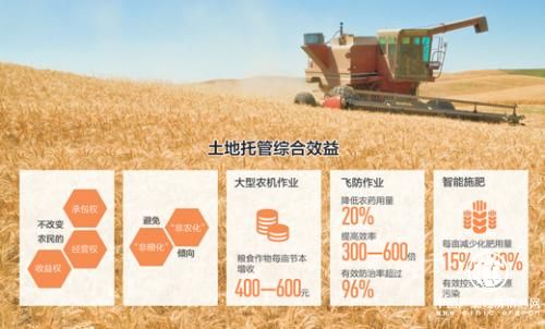 山东产粮大县的土地托管调查:谁来种地？