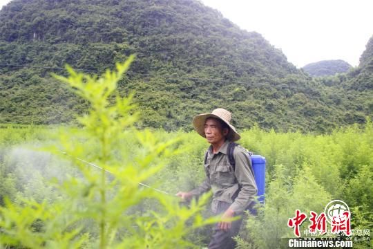 国家药监局官员：力争产出一批类似“青蒿素”产品