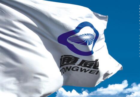 通威：“看不见的企业”比“看得见的企业”更重要