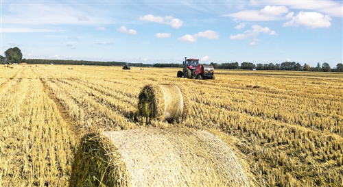 秸秆利用如何“点草成金” 政策扶持破痛点