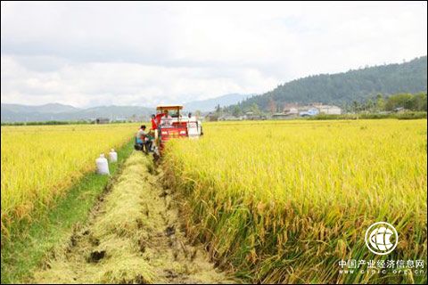 黑龙江省确定秋季农机化生产重点