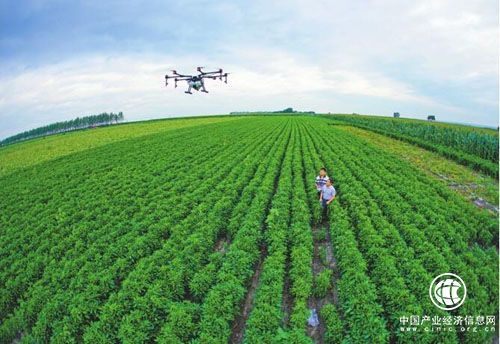 黑龙江做好国家粮食安全“压舱石” 争当“排头兵”