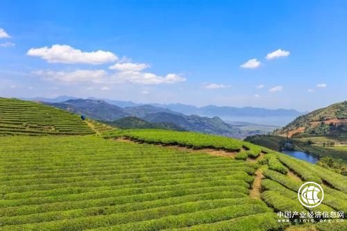 农业部：加快建立贫困地区农业绿色开发机制