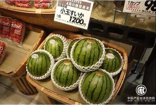 中普臧延斌：稳抓机会，将让你种豆得瓜