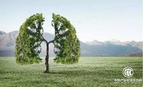 错过了冬病夏治，药墨让你紧抓秋季养肺