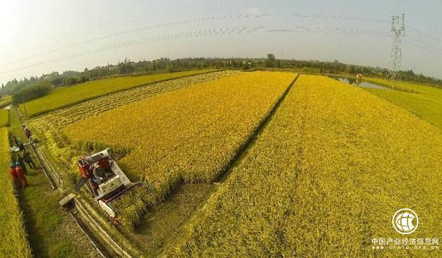 四川省全面启动农村土地“三权分置”