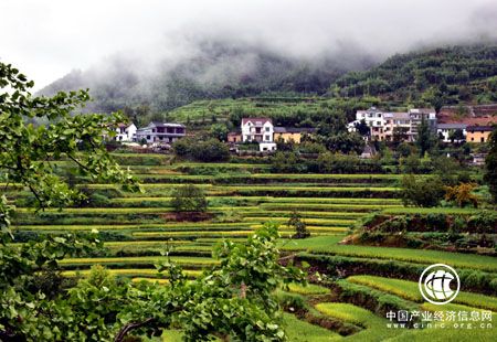 生态建设与耕地保护岂能顾此失彼？