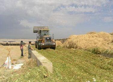 黑龙江粮改饲3年累计安排财政补贴资金5亿多元