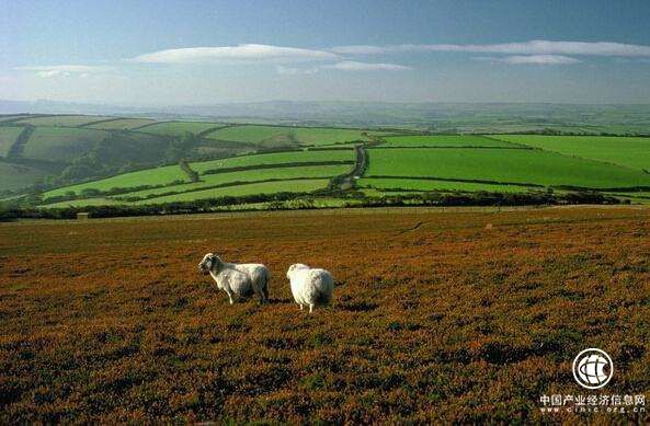 土地管理业新增为《国民经济行业分类》行业大类