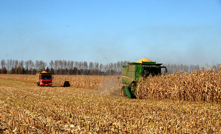 黑龙江“卫星导航＋大农机”改变传统秋收方式
