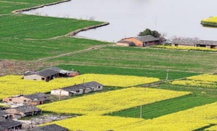 河南下达5000万元资金防治土壤污染