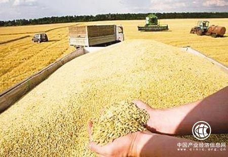 黑龙江多措并举保障粮食市场化主体“有钱收粮”