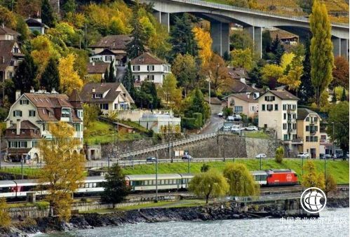 韦杰：我们需要把压抑的感性思维释放出来去创造美