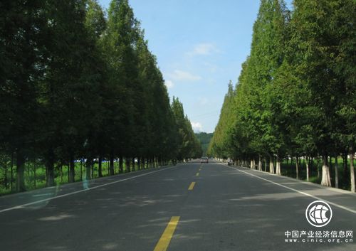 江西：1.2万公里农村公路改造助力乡村振兴